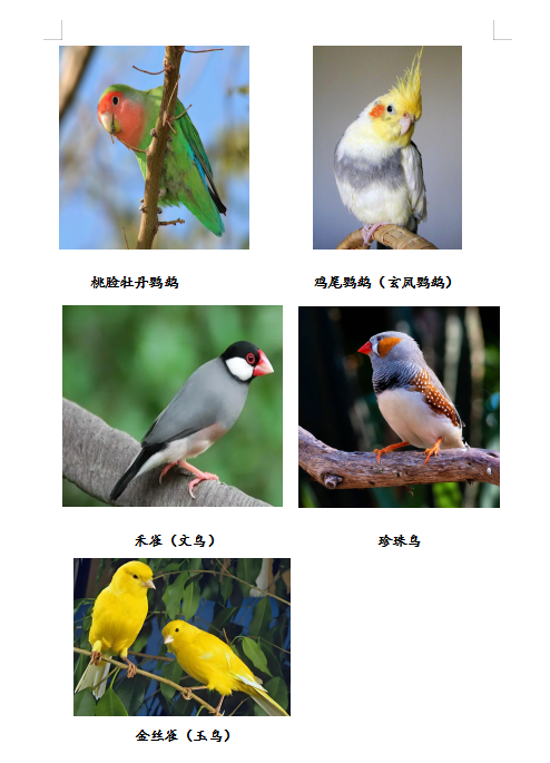 1截圖20250808154328 (1).png