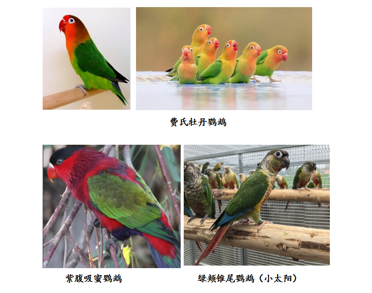 2截圖20250808154328 (2).png