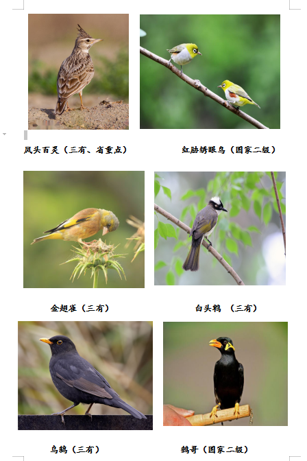 5截圖20250808153313 (2).png